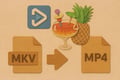 An MKV file with an arrow pointing right in to an MP4 file