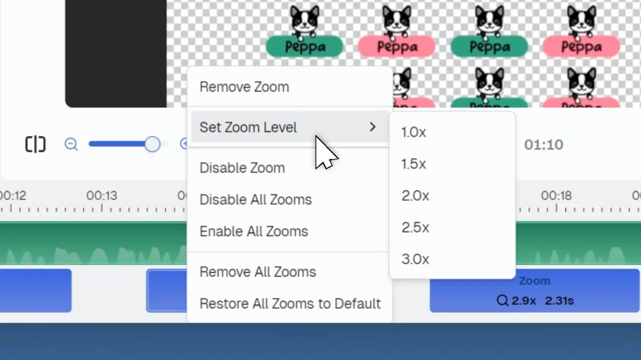 Right-click menu in CANVID showing zoom-related options